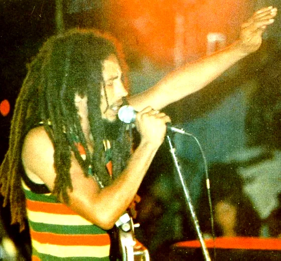 Affiche du film : Bob marley (live in concert)