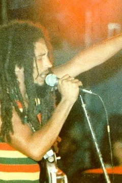 Affiche du film Bob marley (live in concert)