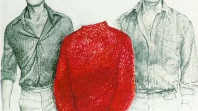 Affiche du film : Le pull-over rouge
