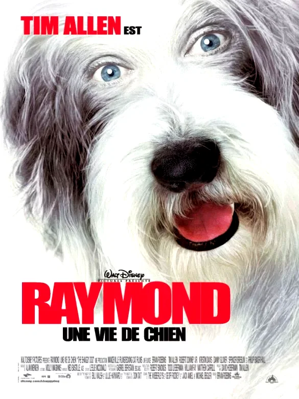 Affiche du film : Raymond