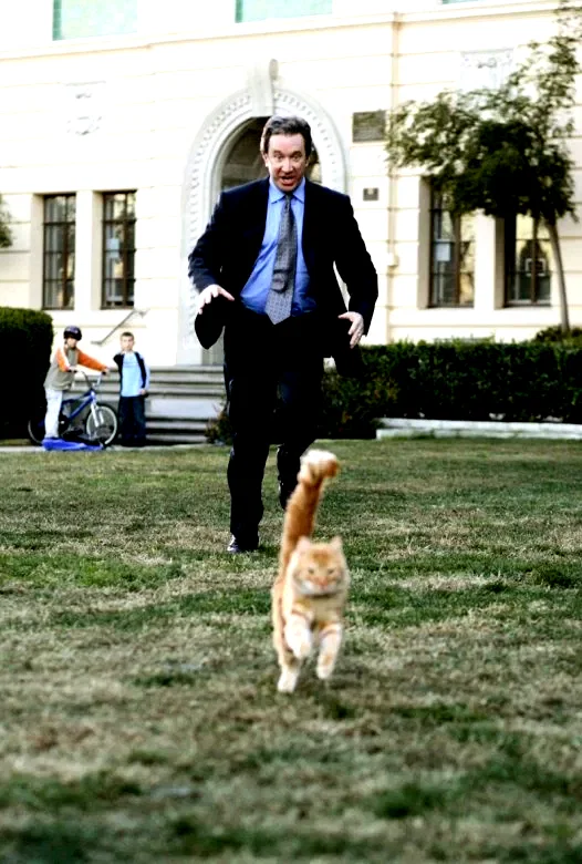 Photo 8 du film : Raymond