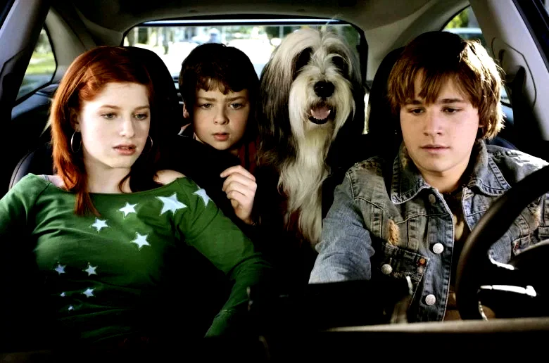 Photo 15 du film : Raymond