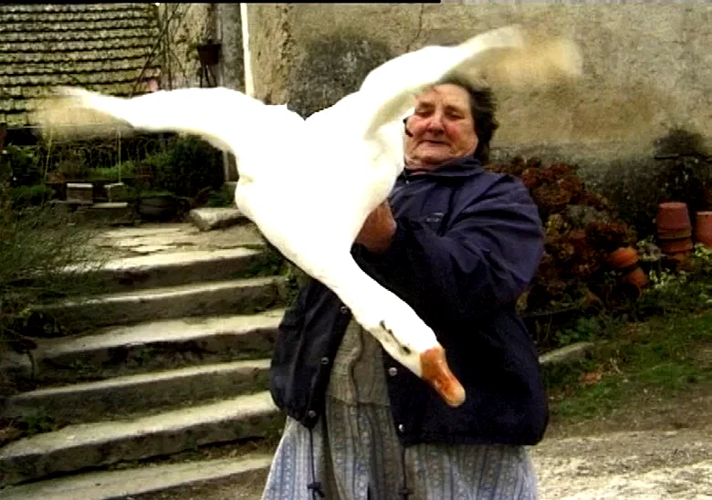 Photo du film : Ici najac, à vous la terre
