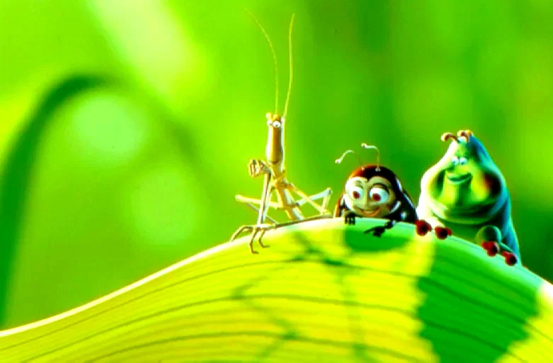 Photo 3 du film : 1001 pattes