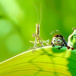 Photo du film : 1001 pattes