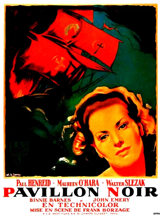 Affiche du film : Pavillon noir