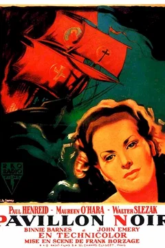 Affiche du film Pavillon noir
