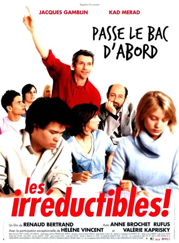 Affiche du film : Les irréductibles