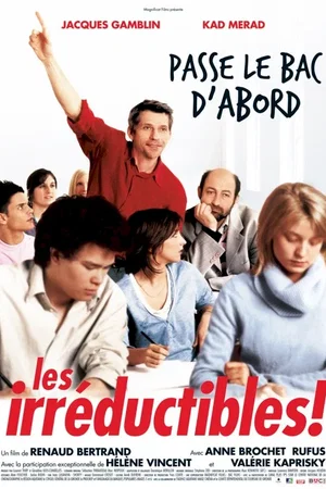 Affiche du film : Les irréductibles
