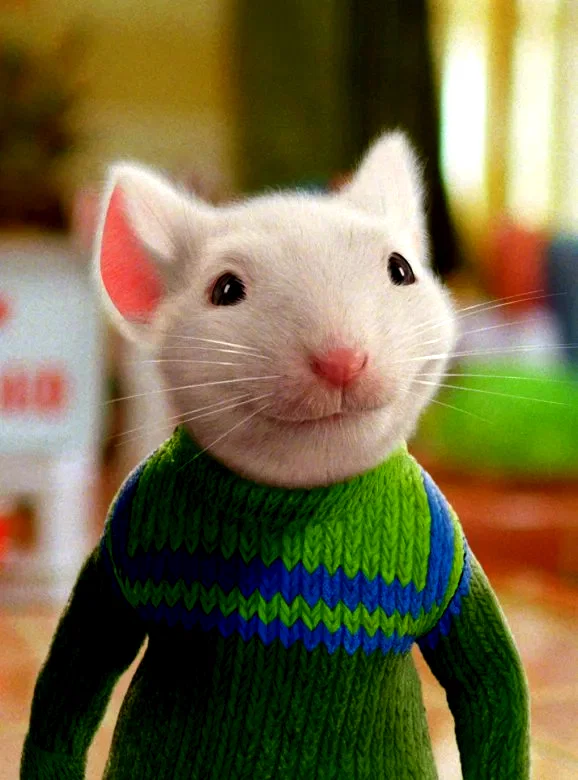 Photo 4 du film : Stuart little 2