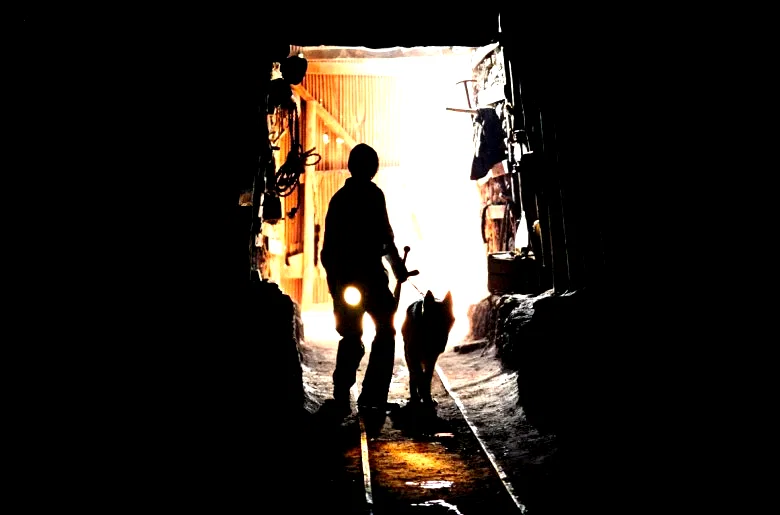 Photo 9 du film : La colline a des yeux