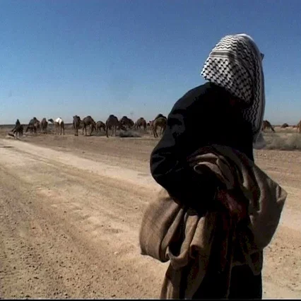 Miniature photo du film : Irak, le chant des absents