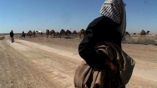 Photo 2 du film : Irak, le chant des absents