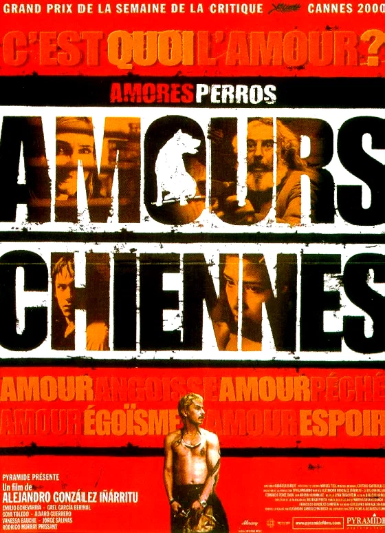 Affiche du film : Amours chiennes