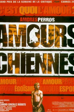 Affiche du film Amours chiennes