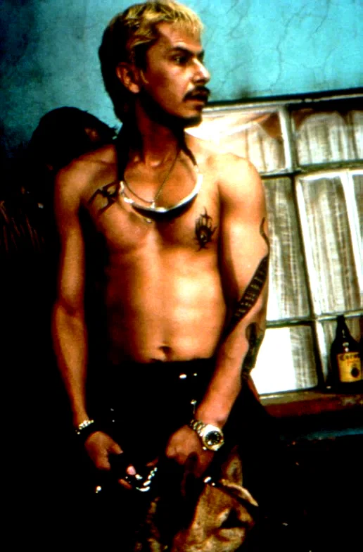 Photo 4 du film : Amours chiennes