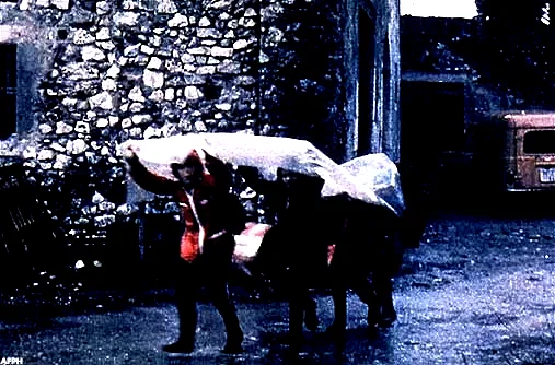 Photo du film : Y'aura-t-il de la neige à Noël ?