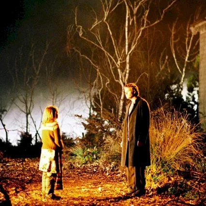 Miniature photo du film : Boogeyman (la porte des cauchemars)