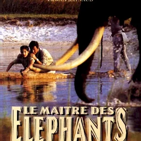 Photo du film : Le maitre des elephants