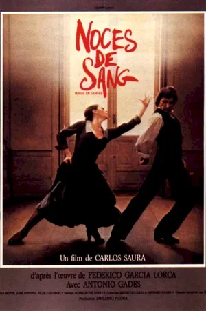 Photo 1 du film : Noces de sang