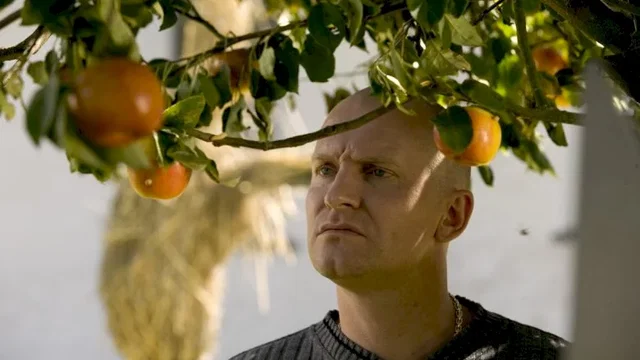 Photo du film : Adam's apple