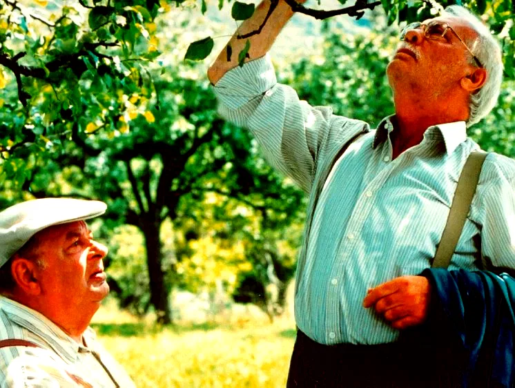 Photo du film : Une hirondelle a fait le printemps