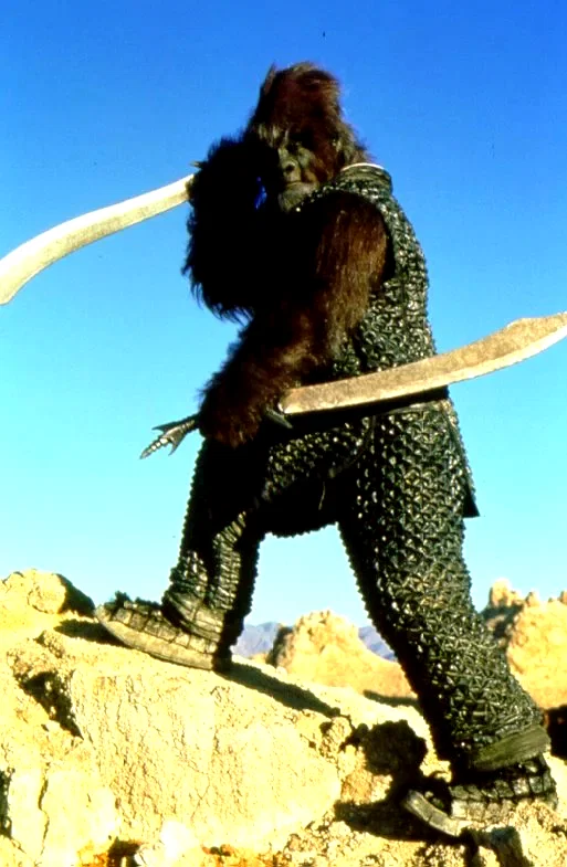 Photo 8 du film : La planète des singes