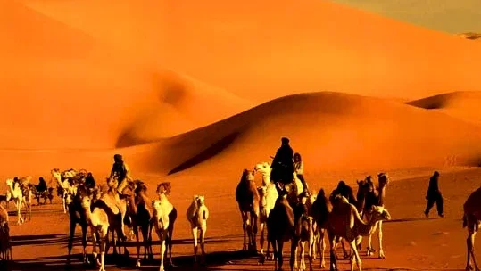 Photo 5 du film : Imuhar (une legende)