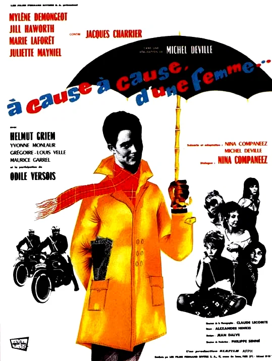 Affiche du film : A cause a cause d'une femme
