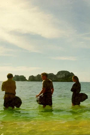 Photo du film : La Plage