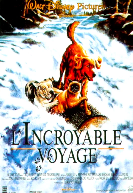 Affiche du film : L'incroyable voyage