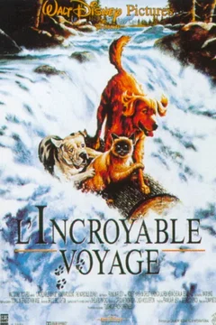 Affiche du film L'incroyable voyage