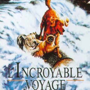 Photo du film : L'incroyable voyage