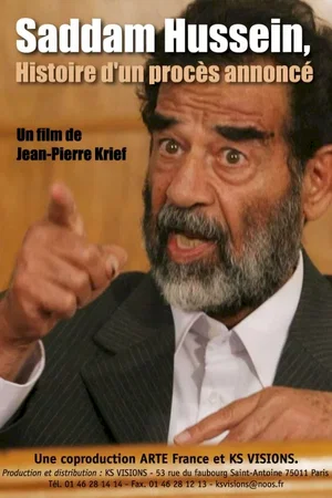 Affiche du film : Saddam Hussein, histoire d'un procès annoncé