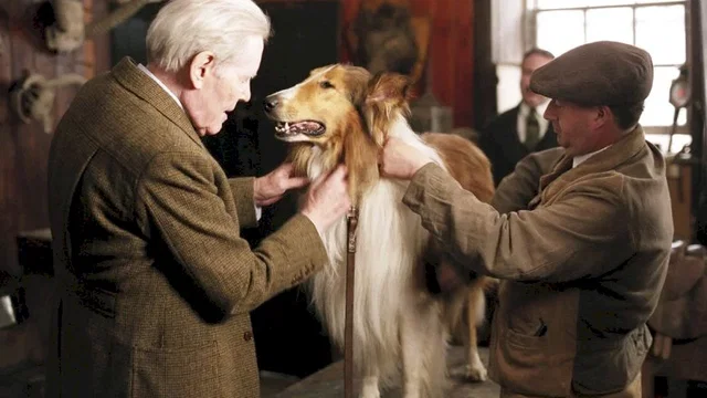 Photo du film : Lassie