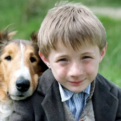 Miniature photo du film : Lassie