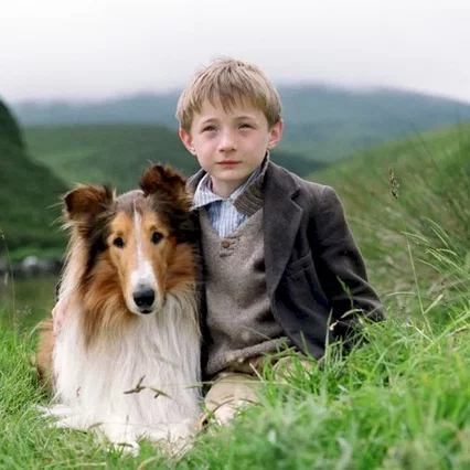 Miniature photo du film : Lassie