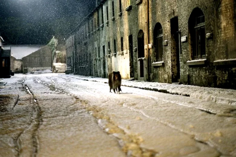 Photo 17 du film : Lassie