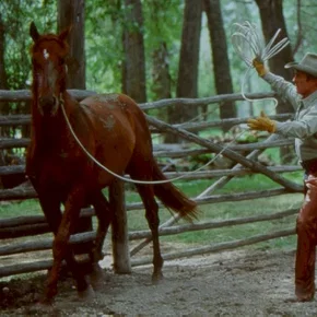 Photo du film : L'homme qui murmurait à l'oreille des chevaux