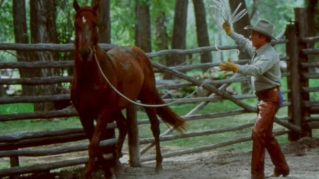 Photo 3 du film : L'homme qui murmurait à l'oreille des chevaux