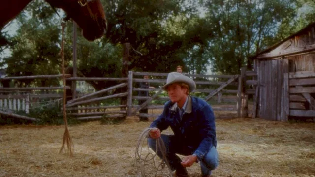 Photo 5 du film : L'homme qui murmurait à l'oreille des chevaux