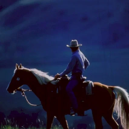 Miniature photo du film : L'homme qui murmurait à l'oreille des chevaux