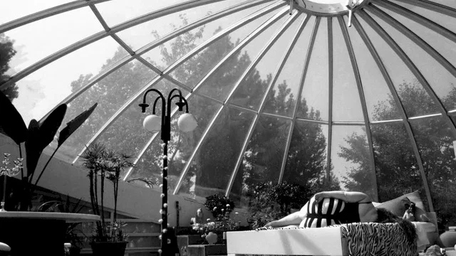 Photo du film : Avida