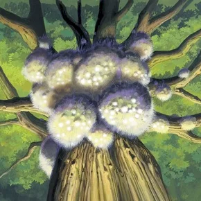 Photo du film : Nausicaä de la vallée du vent