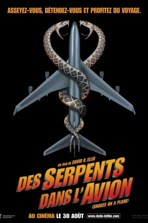 Affiche du film : Des serpents dans l'avion