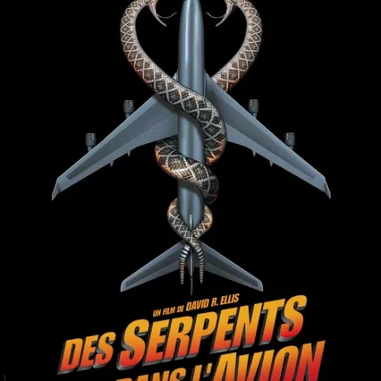 Miniature photo du film : Des serpents dans l'avion
