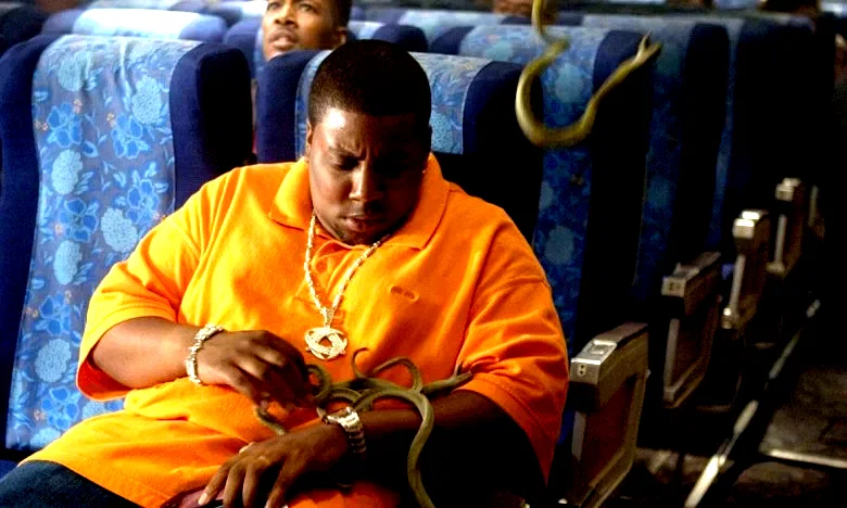 Photo 4 du film : Des serpents dans l'avion