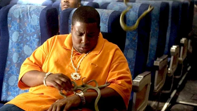 Photo du film : Des serpents dans l'avion