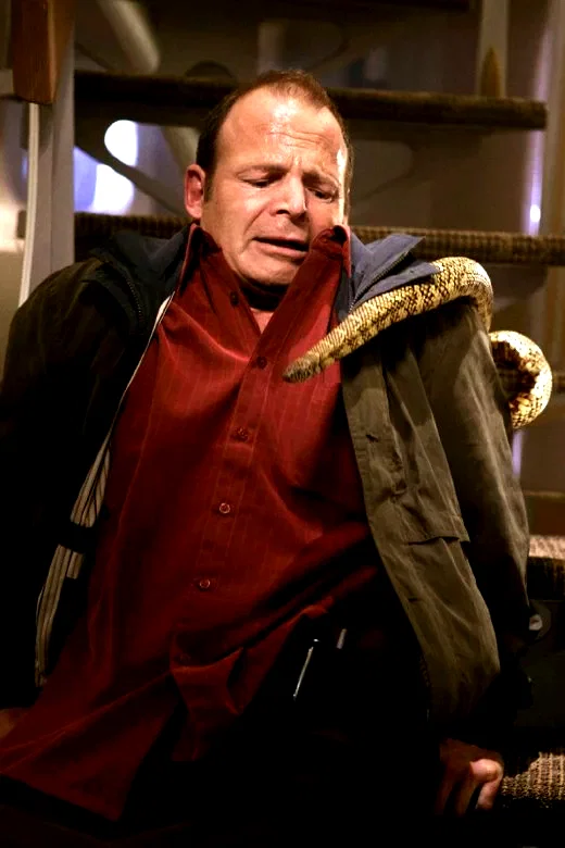 Photo 5 du film : Des serpents dans l'avion