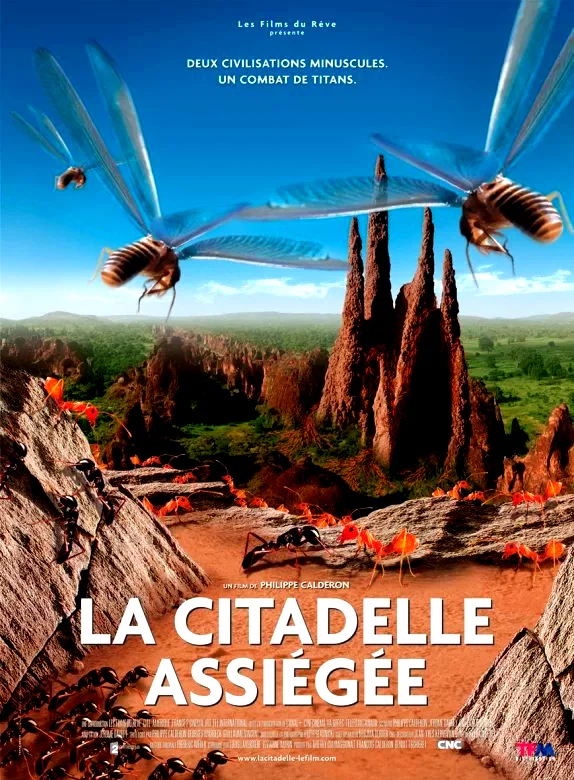 Affiche du film : La citadelle assiegee